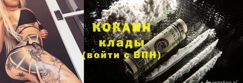 Cocaine FishScale  цены   Дубна 