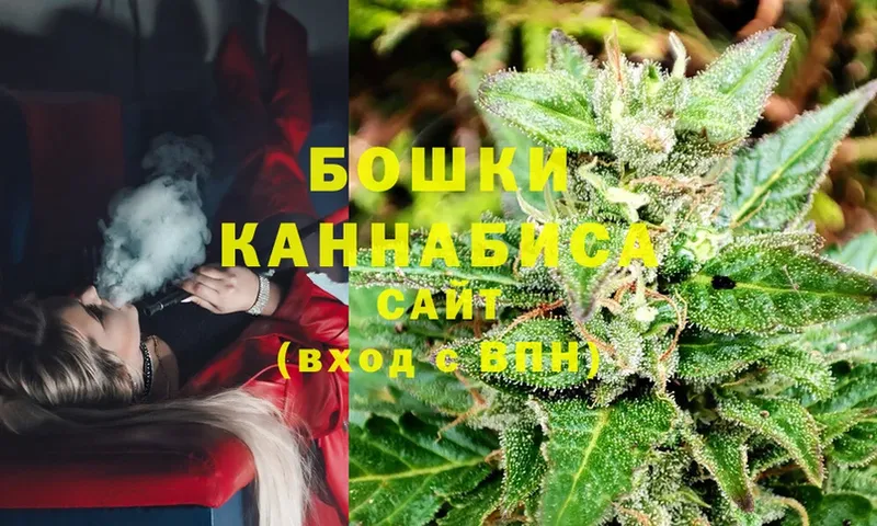 купить наркотики сайты  Дубна  Бошки марихуана SATIVA & INDICA 